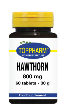 Hawthorn 800 mg