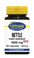 Nettle root extract 4800 mg Pure