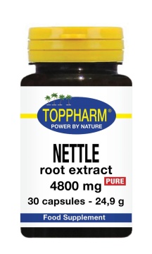 Nettle root extract 4800 mg Pure